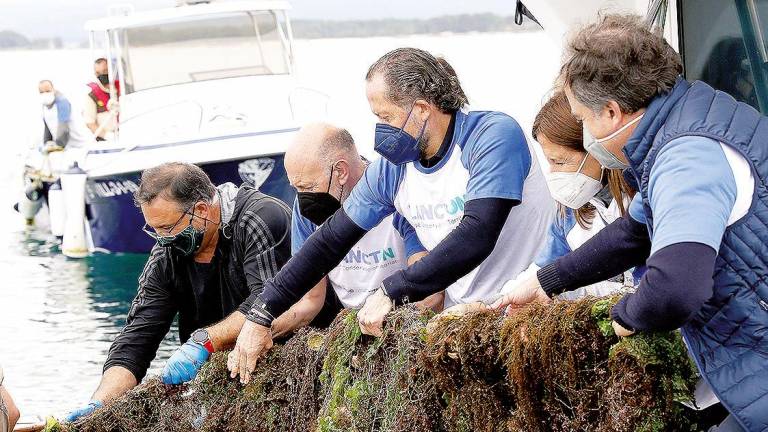 Sostenibilidad. Voluntarios extrayendo residuos del fondo marino en Arousa. Foto: Gallego