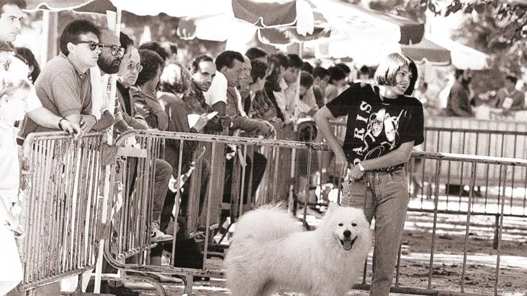 ... Cuando empezaron a celebrarse en Santiago los primeros concursos y exhibiciones caninas