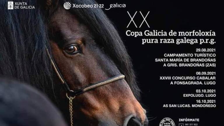 Cartel promocional da Copa Galicia de Pura Raza Galega