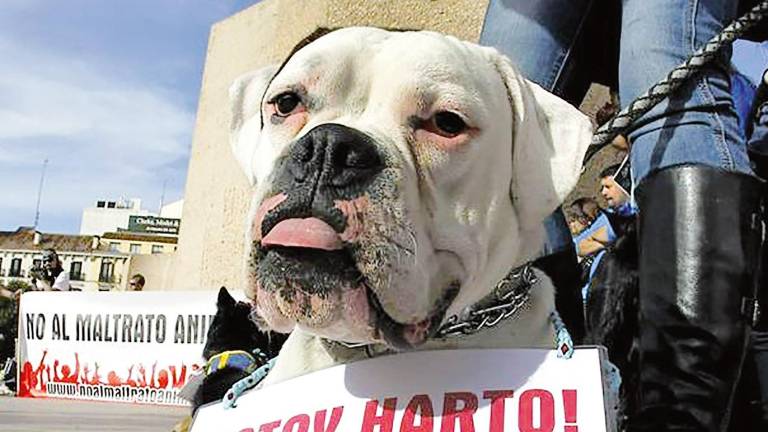 Imaxe da manifestación en contra do maltrato animal a comezos de ano en Madrid. Foto: EFE