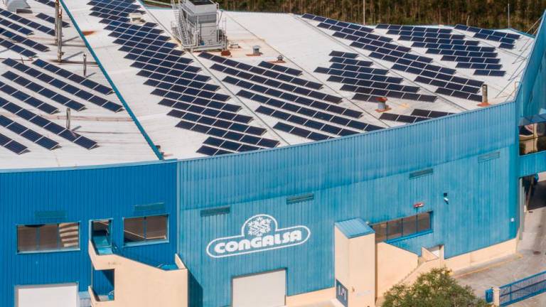 Placas fotovoltaicas en una planta de Congalsa. Foto: Congalsa