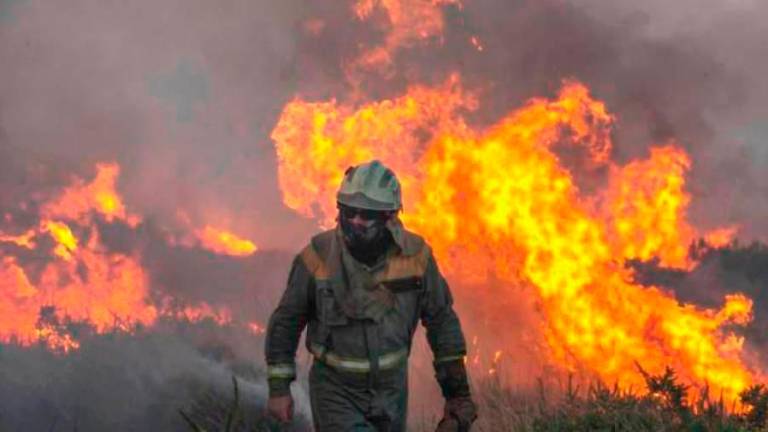 fuego. Miembro de una brigada en un incendio en Galicia. Foto: B. Lorenzo 