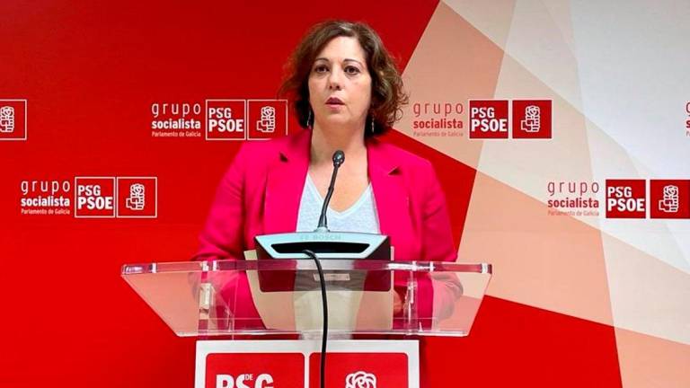 La viceportavoz del grupo parlamentario Socialista, Begoña Rodríguez Rumbo.