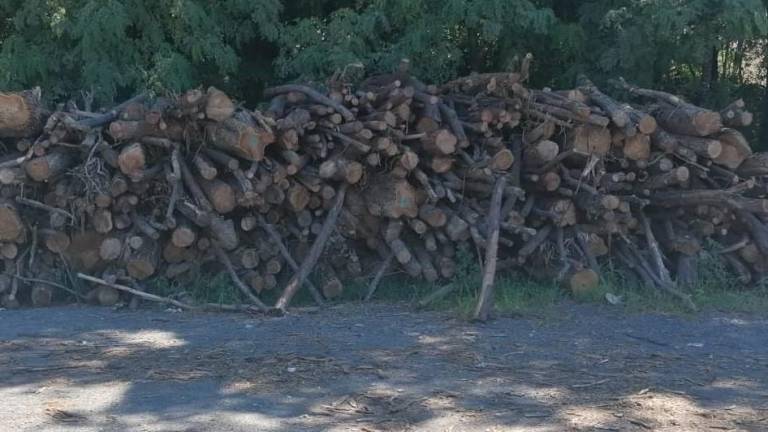 Un conjunto de madera que, presuntamente, robaron los vecinos de Brión en Padrón. Foto: G