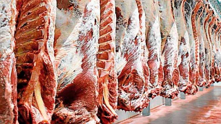Estallan los ganaderos por los ataques gratuitos de Garzón al sector de la carne: “Basta ya”