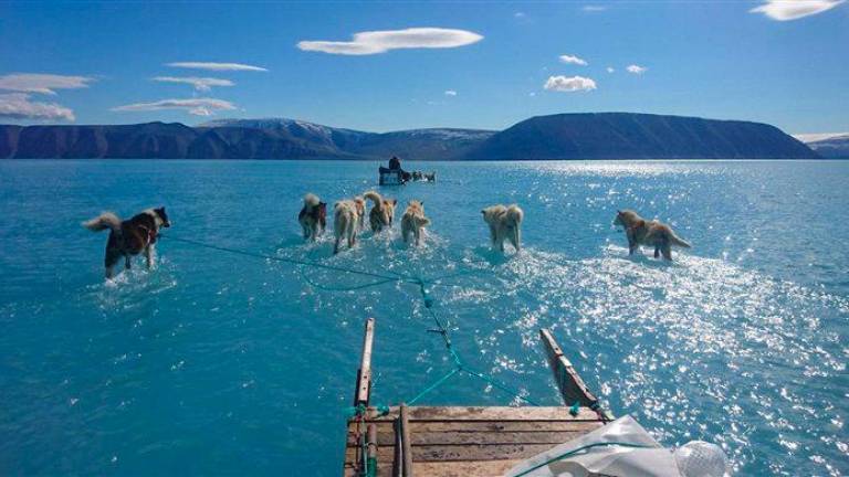 En esta fotografía, que ha dado la vuelta al mundo, podemos observar como varios perros tiran de un trineo sobre el hielo derretido en el Fiordo de Inglefield Bredning, al noroeste de Groenlandia. (Fuente, nationalgeographic.com) 