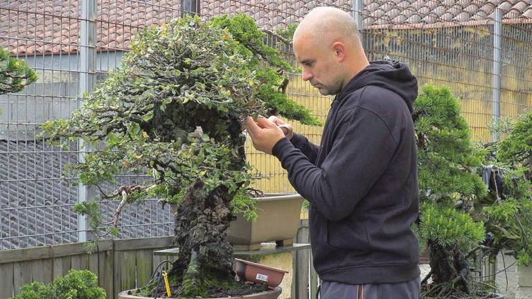 Alberto, un auténtico experto no mundo dos bonsais, hoxe en ‘Cos pés na terra’. Foto: CRTVG