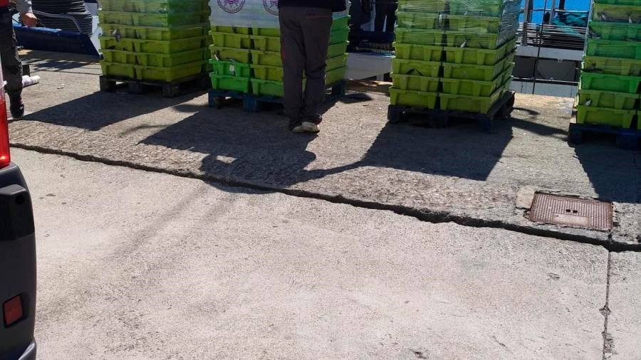 Incautados más de 6.000 kilos de sardina en Porto do Son