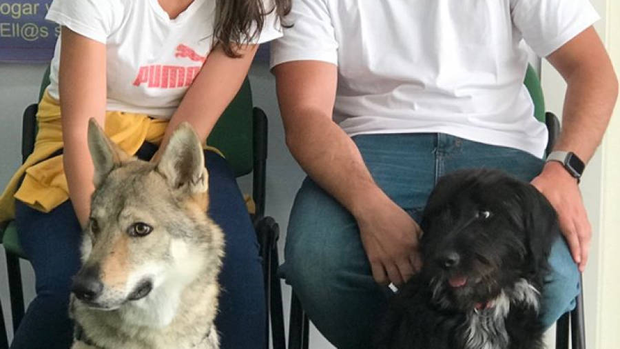 Dos peregrinas vuelan desde Japón para adoptar al perro que salvaron en el Camino