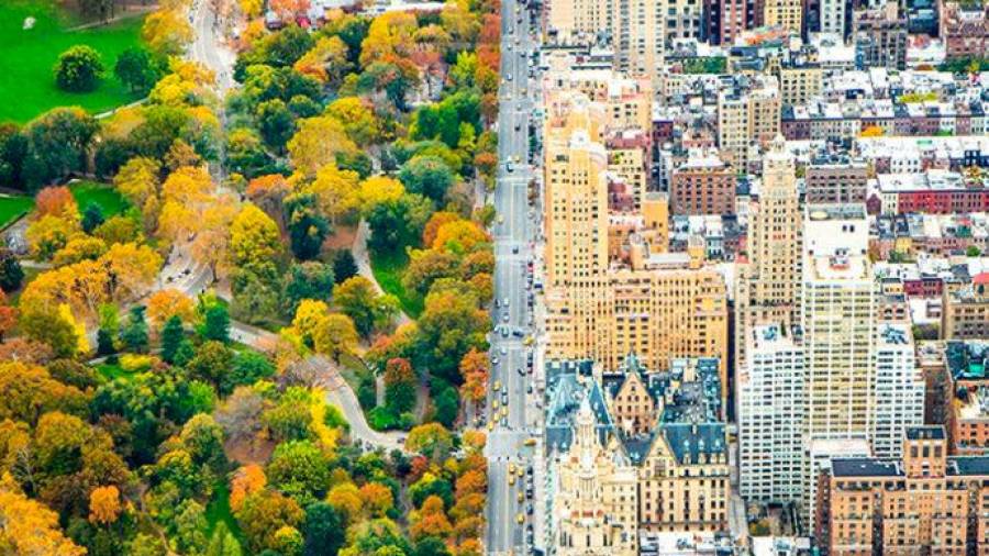 Dividir. Fotografía de Nueva York, tomada desde un helicóptero, en la que se ve como el pulmón de Central Park divide la ciudad. La autora es la fotógrafa Kathleen Dolmatch. (Fuente, www.rolloid.net)