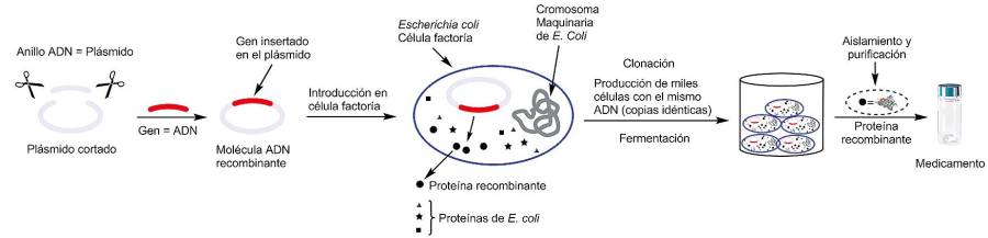 Figura 2. Esquema general resumido ilustrativo de la tecnología de ADN recombinante.