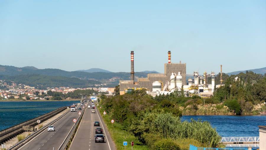 Imagen de la voluminosa fábrica de celulosa de Ence, localizada en Lorrizán y pegada a la ría de Pontevedra. Foto: ECG 
