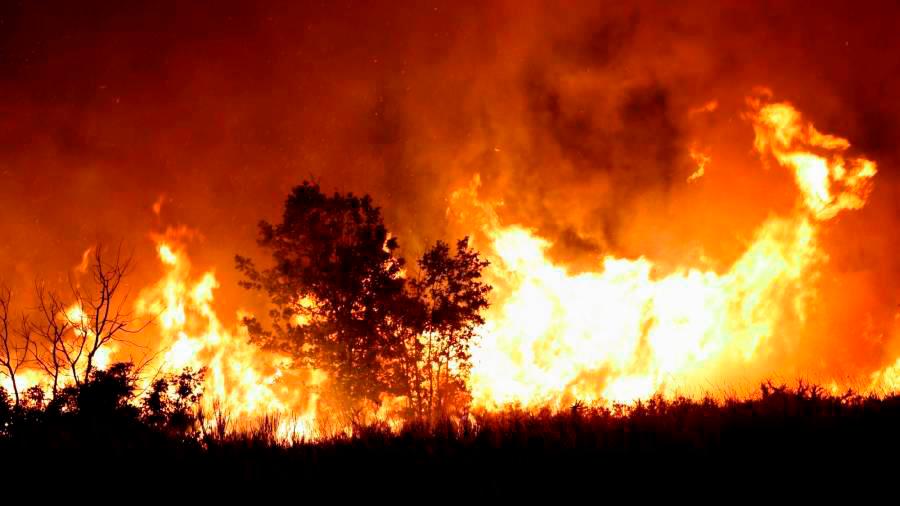 Casi el 60% de los incendios de lo que va de año se producen en la zona noroeste