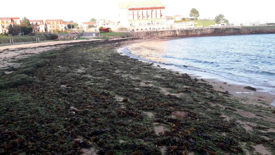 RÍO AZOR. Estado de la playa de Río Azor antes de la retirada de las algas. Foto: C. de R.