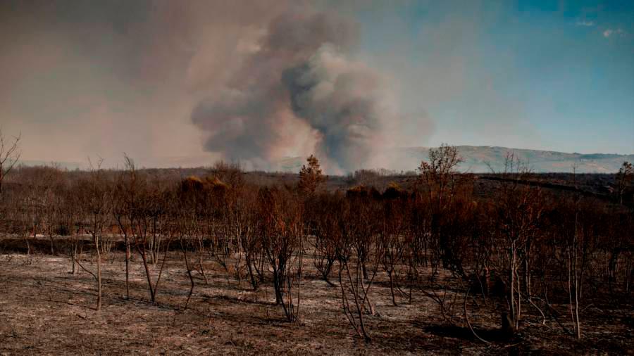 Imagen del incendio en Cualedro / EFE