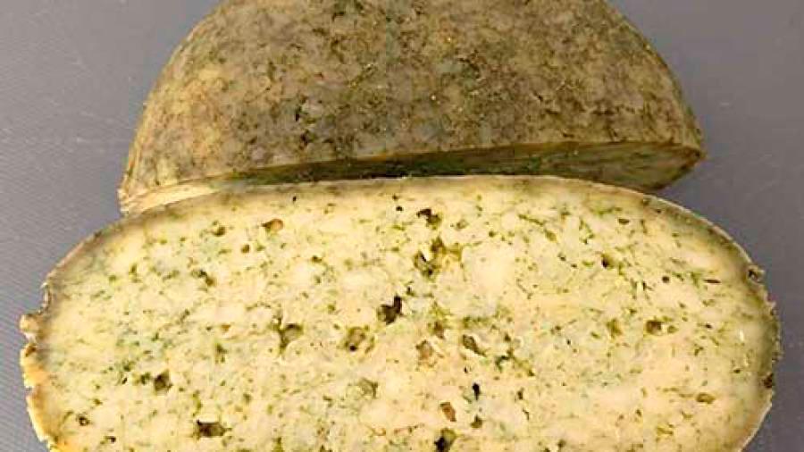 Imagen de una pieza de queso de Friol elaborado con pimiento de Herbón picante. Foto: Gallego