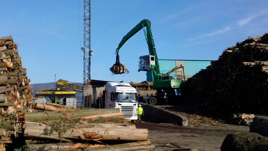Trabajos con madera de eucalipto en la planta de Ence en Pontevedra, en imagen de archivo. Foto: Ence
