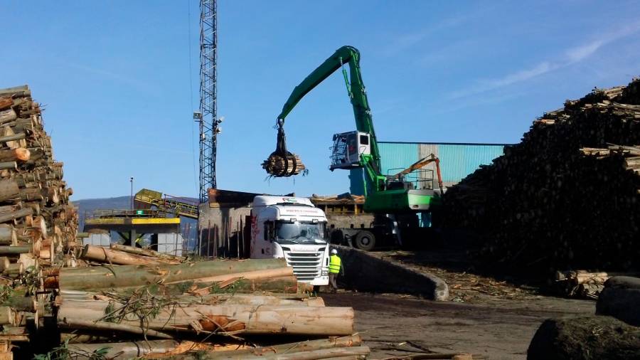 Proceso de descarga de madera en la fábrica de Ence. Foto: G.E.