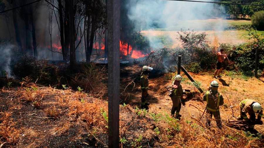Brigadistas apagando un incendio forestal