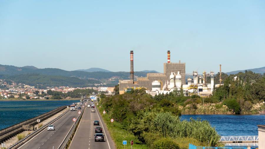 Vista de las instalaciones productivas de Ence Energía y Celulosa en la explanada de Lourizán, en Pontevedra. Foto: G. E.