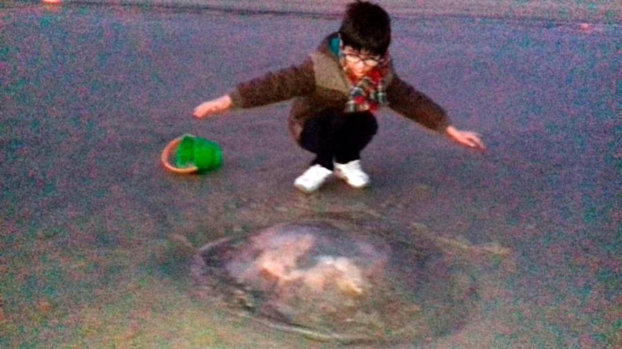 Antón Sambade diante da medusa xigante que atoparon na praia de Estorde, en Cee. Foto: M. Sambade