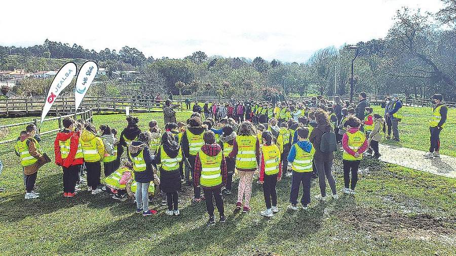 ALIANZA. Escolares de Boiro participando en la plantación de árboles llevada a cabo en el paseo del río Breiro en el marco del proyecto de la Cruz Roja y Jealsa. Foto: Cruz Roja