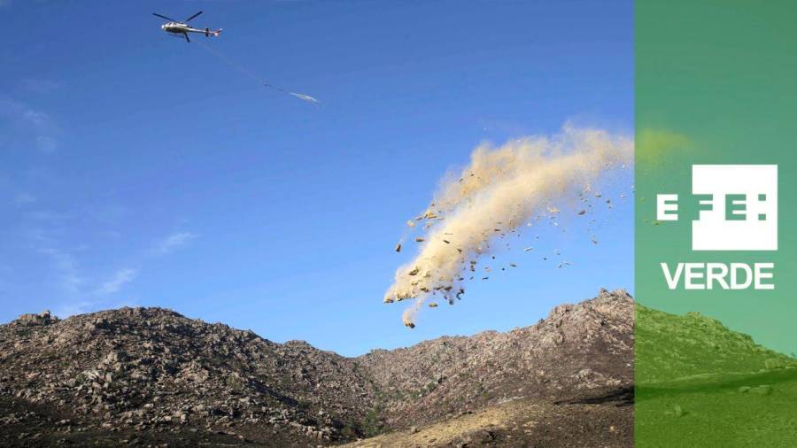 Helimulching. Un helicóptero soltando paja y cereales para evitar la erosión del suelo en un terreno escarpado tras un incendio forestal. Foto: Efe