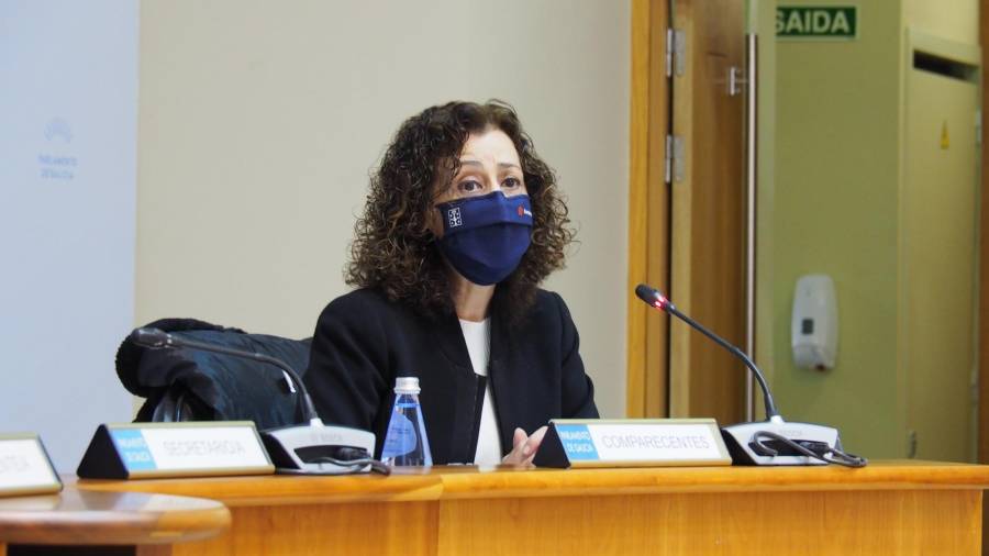 La directora xeral de Saúde Pública de la Xunta, Carmen Durán, durante su comparecencia este viernes en el Parlamento de Galicia. PARLAMENTO DE GALICIA