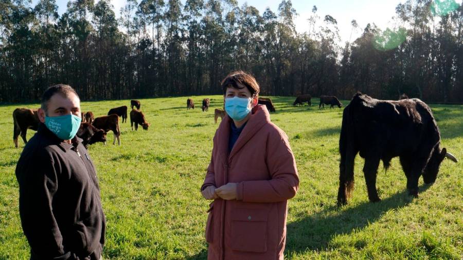 Ana Pontón, portavoz nacional del BNG, visita una explotación ganadera BNG 20/01/2022