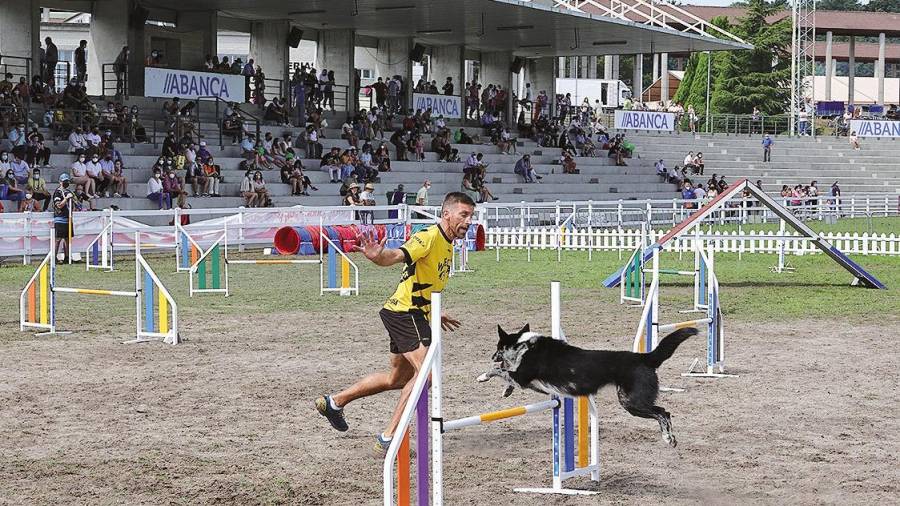 Los concursos de agilidad en el apartado canino resultan siempre muy vistosos. Foto: F. I. G. A.