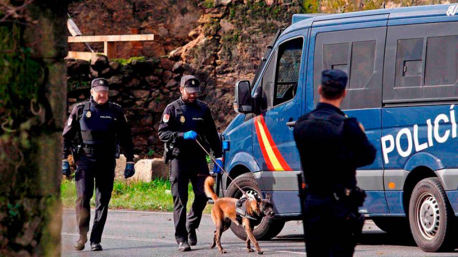 Agentes del cuerpo de la Policía Nacional acompañados de un perro en el transcurso de una redada antidroga. Foto: Gallego