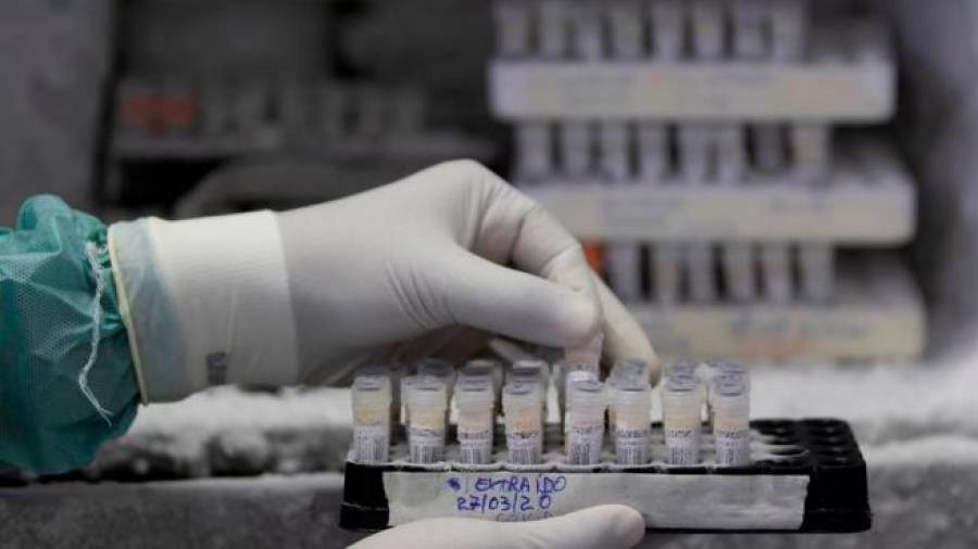 investigación. Imagen que recoge una serie de pruebas de coronavirus en un laboratorio. Foto: EFE