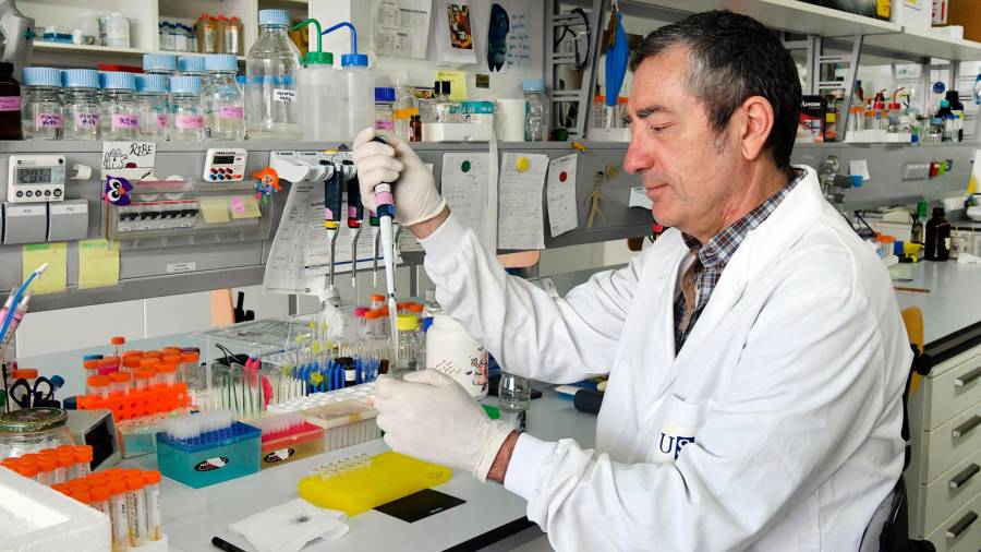 Ciencia. El investigador José Martínez Costas trabajando en su laboratorio. Foto: USC