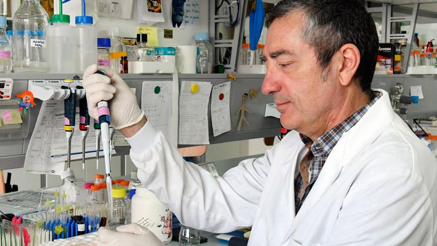 USC. El investigador del CiQUS José Martínez Costas en el laboratorio. Foto: ECG
