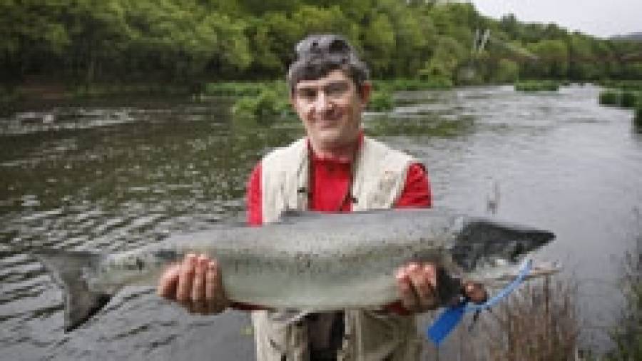 José López capturó ayer el primer salmón de Ximonde, un ejemplar de 3,8 kilos