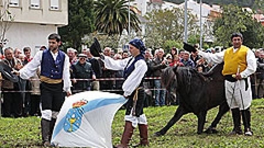 Exhibición de Doma ecuestre de pura raza gallega en la Feria de San Marcos