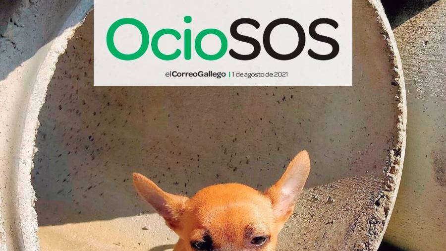OcioSOS 01-08-2021