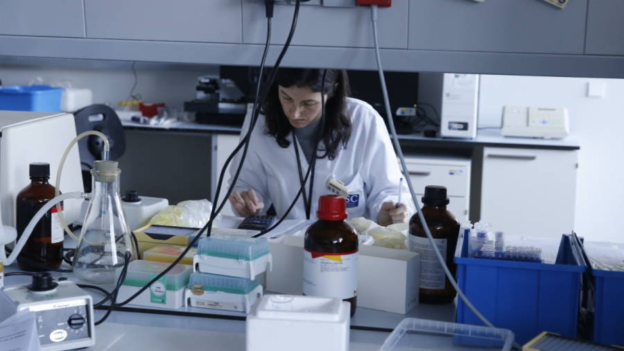 250 científicos de quince países llevan a cabo alta investigación en el CiMUS