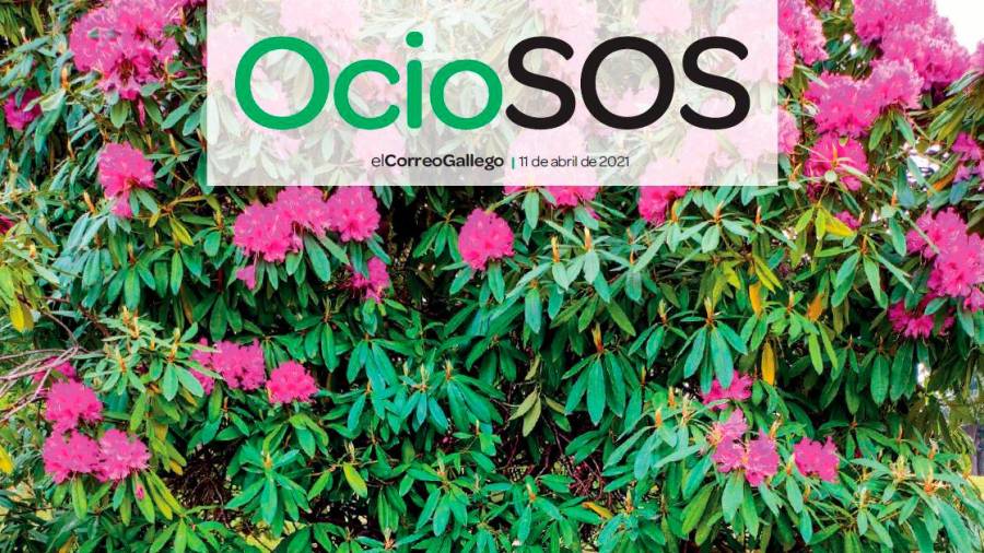 OcioSOS 11-04-2021