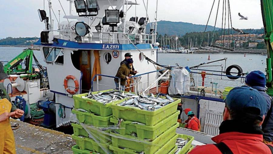 Pérez sostiene que dos barcos bajaron sardina en Portosín