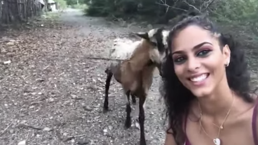 Un selfie delante de una cabra ¿qué fue lo que pasó?