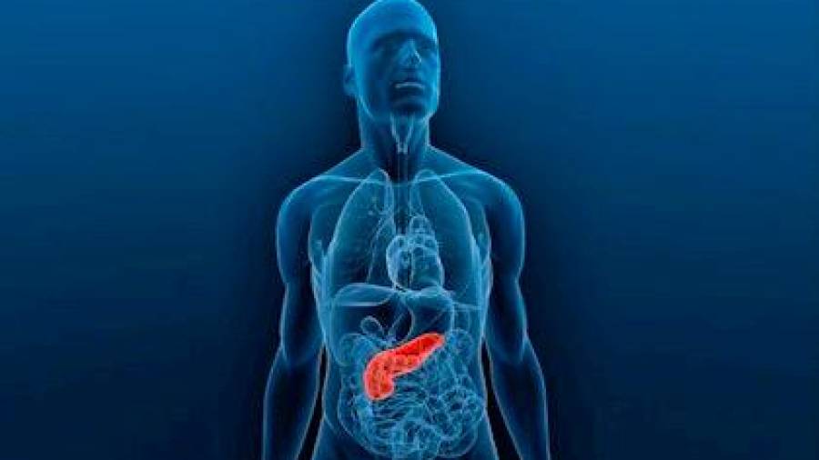 Científicos dicen saber cómo frenar el avance del cáncer de páncreas