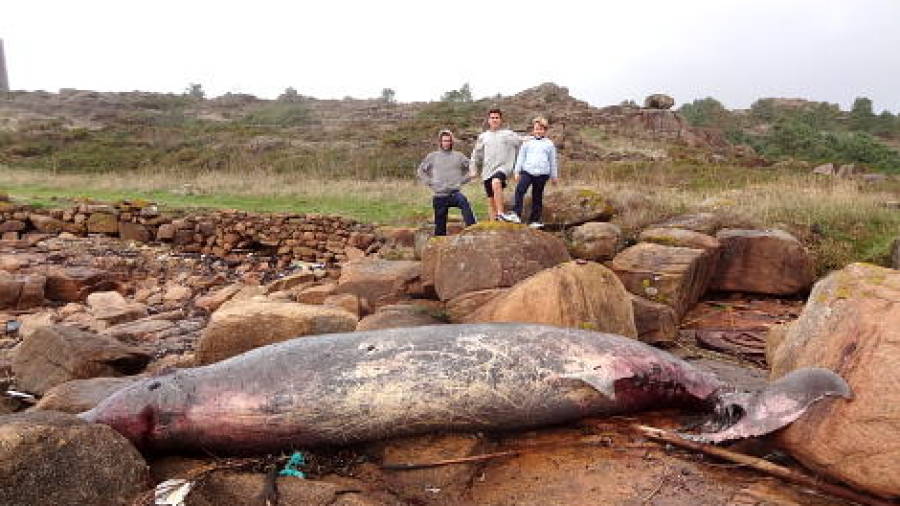 O temporal no Pindo deixa un cetáceo varado e parte do paseo marítimo destrozado