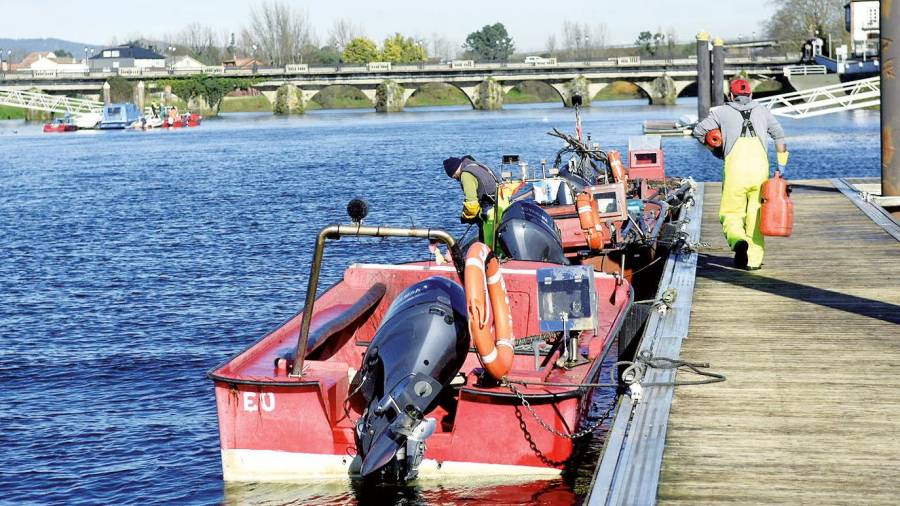 Barcos atracados tras recoger las nasas en el Ulla. Foto: Sangiao