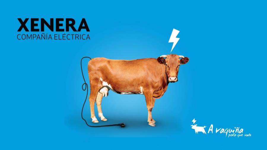 35.000 hogares y empresas ya ahorran en luz y gas con A Vaquiña polo que vale, de XENERA Compañía Eléctrica