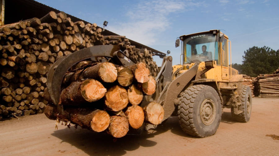 La cadena de la madera crecerá entre un 5 y el 8 % pese a la desaceleración