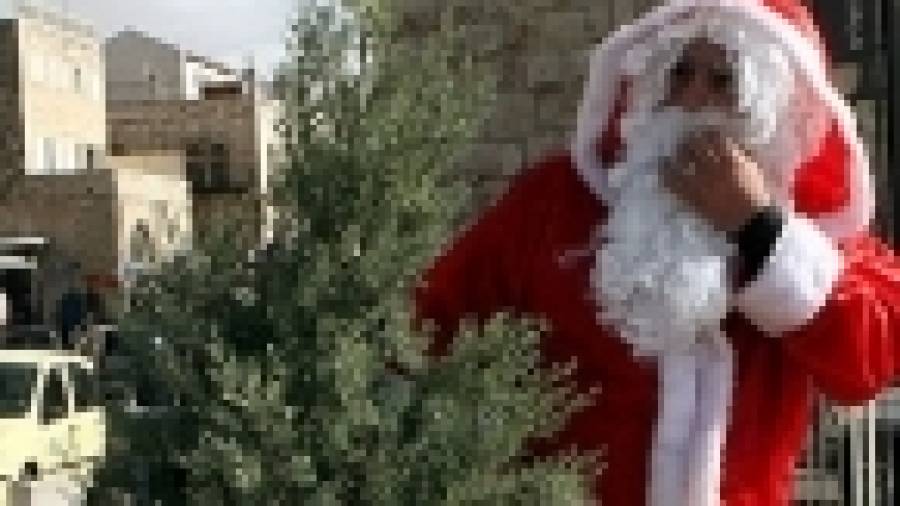Una empresa de Frades distribuye abetos de Navidad a toda España