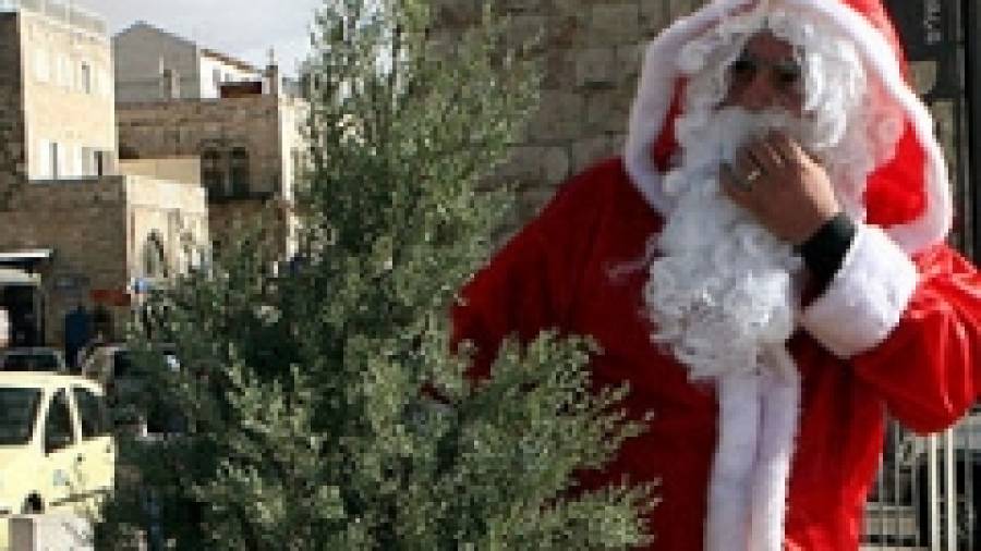 Una empresa de Frades distribuye abetos de Navidad a toda España