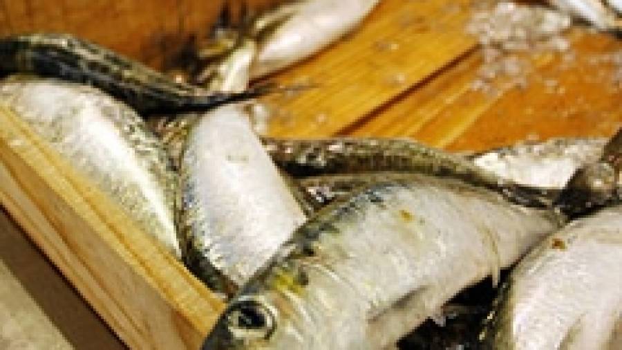Las sardinas llegarán con retraso y el doble de caras