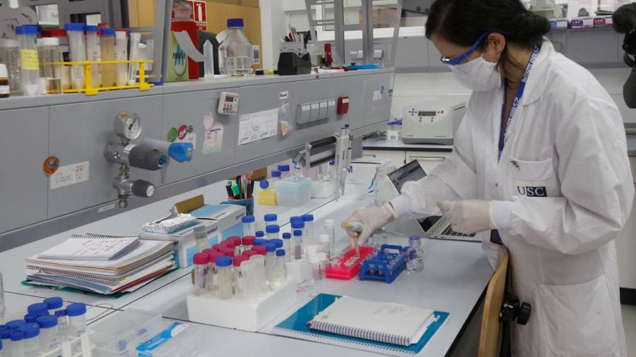 Una investigadora trabaja en un laboratorio del centro de química biológica y materiales moleculares de la Universidade de Santiago. Foto: Fernando Blanco